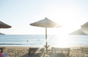 beach umbrellas in the sun